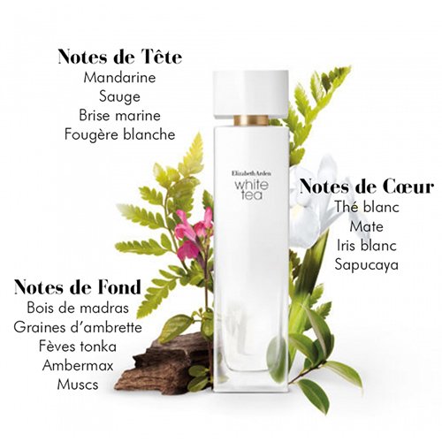 ELIZABETH ARDEN White Tea - Eau de Toilette 0085805557324 ELIZABETH ARDEN White Tea - Eau de Toilette 0085805557324
